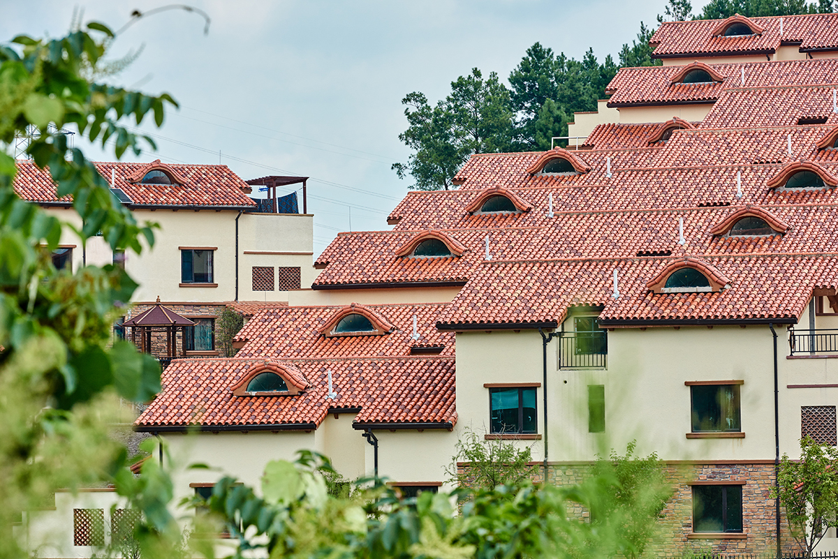 CA88摘要2023第29期