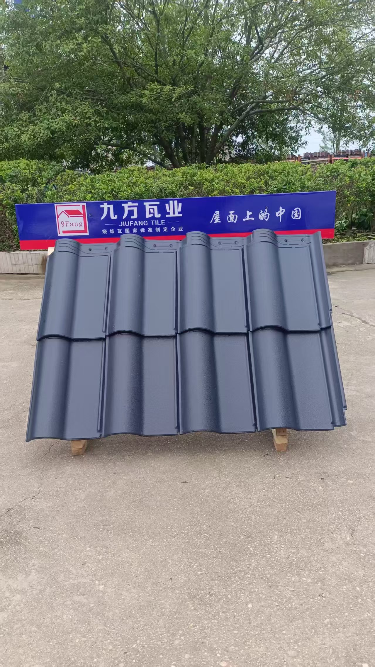 CA88摘要2025第16期